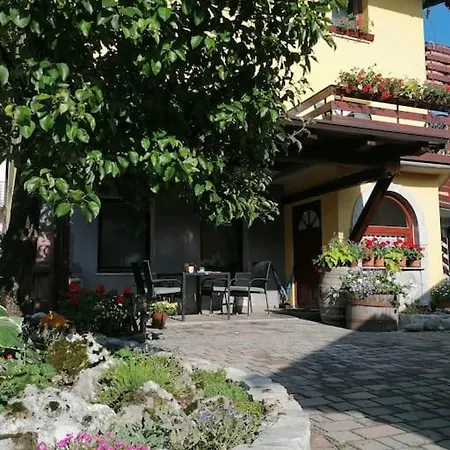 Tela